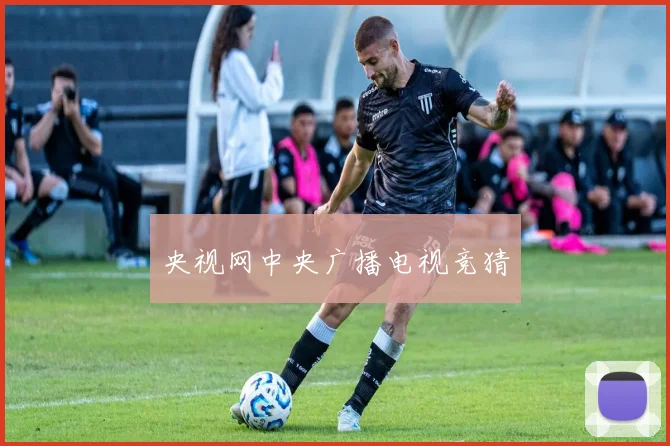 央视网中央广播电视竞猜