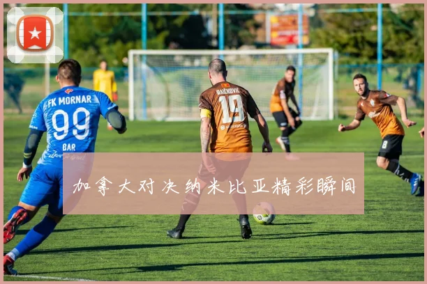 加拿大对决纳米比亚精彩瞬间