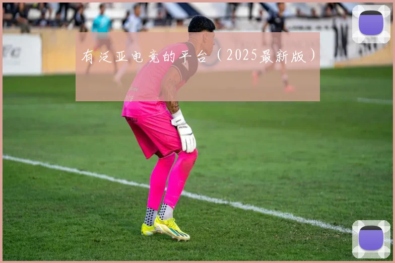 有泛亚电竞的平台（2025最新版）