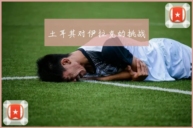 土耳其对伊拉克的挑战