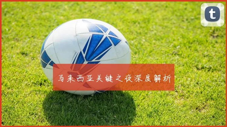 马来西亚关键之夜深度解析