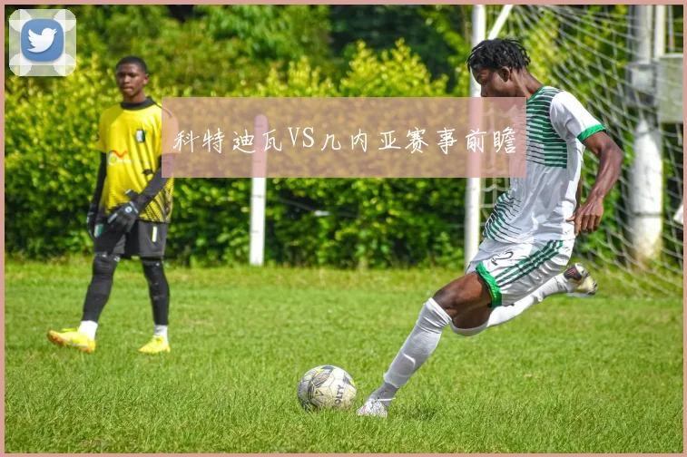 科特迪瓦VS几内亚赛事前瞻