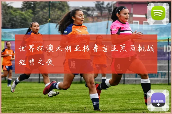 世界杯澳大利亚格鲁吉亚黑马挑战经典之夜