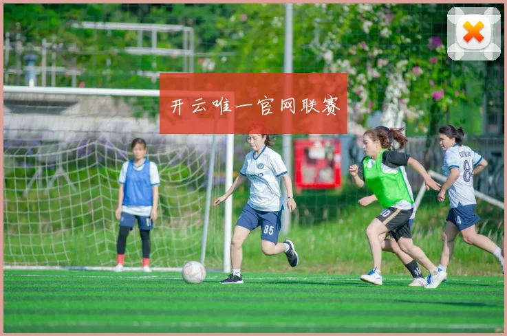 开云唯一官网联赛