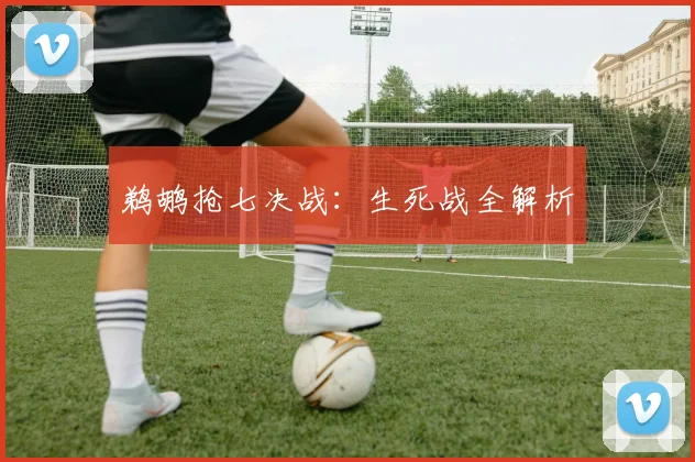 鹈鹕抢七决战：生死战全解析