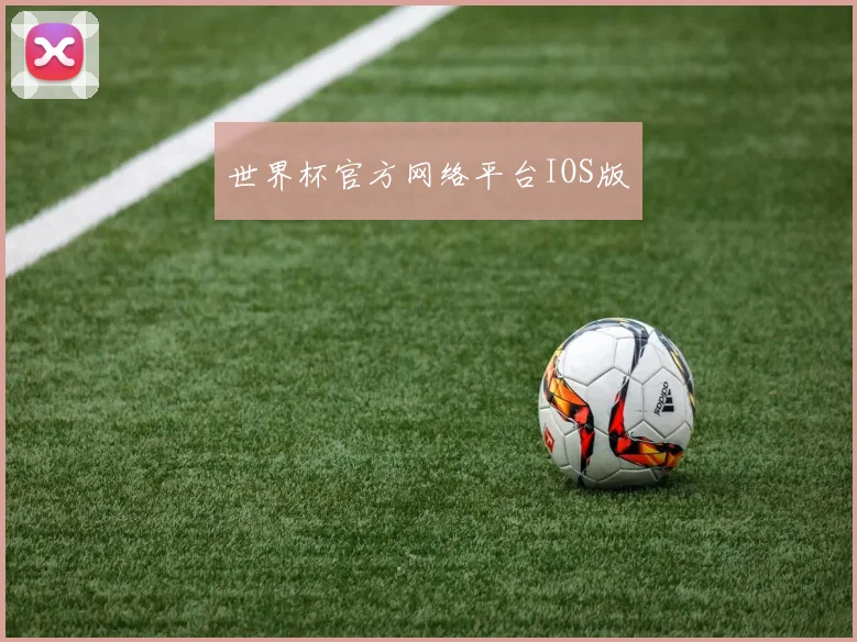 世界杯官方网络平台IOS版