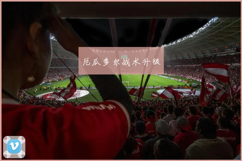 厄瓜多尔战术升级