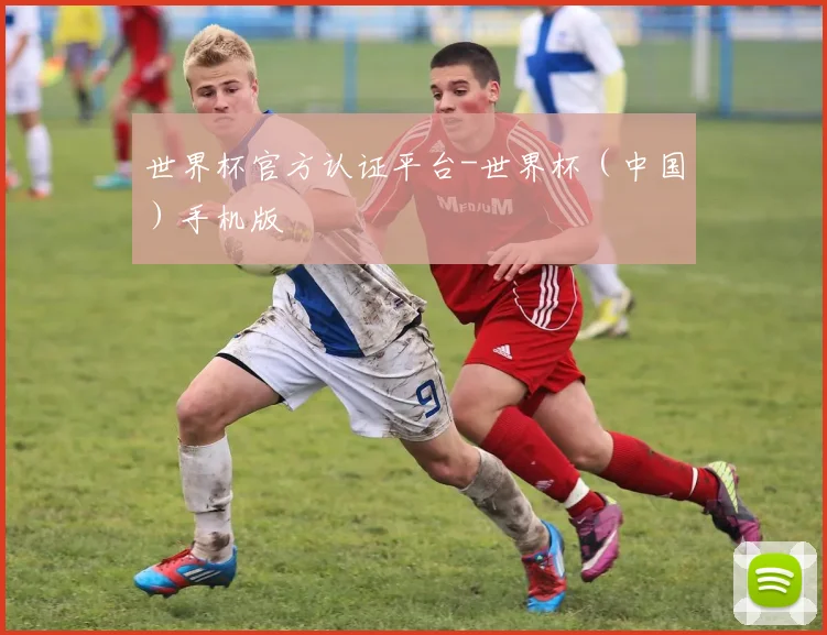 世界杯官方认证平台-世界杯（中国）手机版