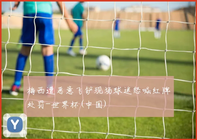 梅西遭恶意飞铲现场球迷怒喊红牌处罚-世界杯(中国)