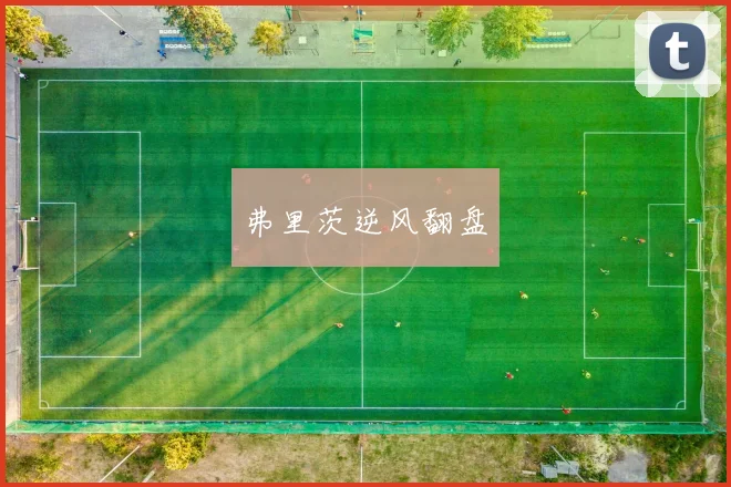 弗里茨逆风翻盘
