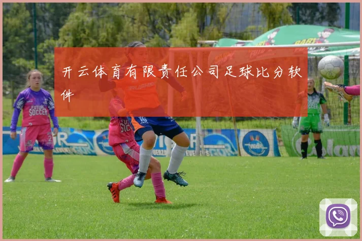 开云体育有限责任公司足球比分软件