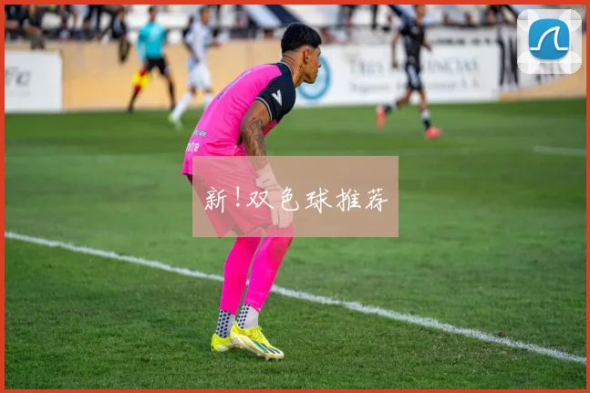 新!双色球推荐
