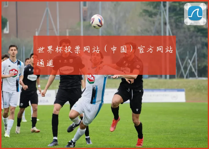 世界杯投票网站（中国）官方网站通道