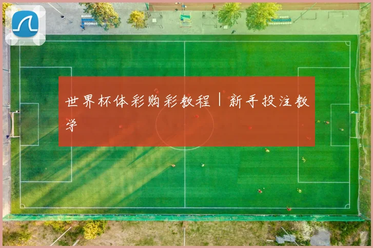 世界杯体彩购彩教程|新手投注教学