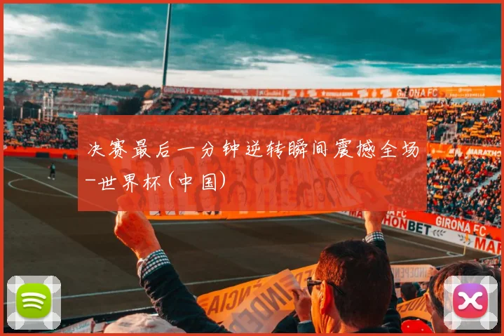 决赛最后一分钟逆转瞬间震撼全场-世界杯(中国)