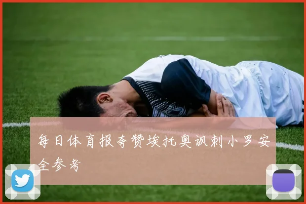 每日体育报夸赞埃托奥讽刺小罗安全参考