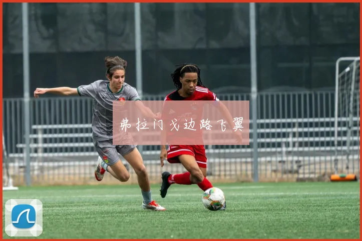 弗拉门戈边路飞翼