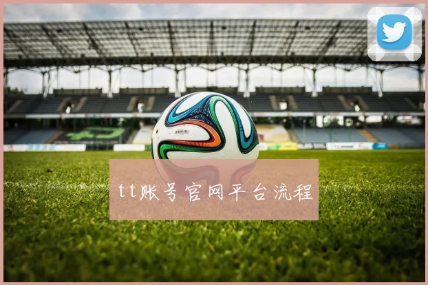 tt账号官网平台流程