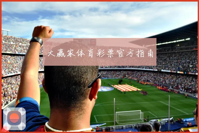 大赢家体育彩票官方指南