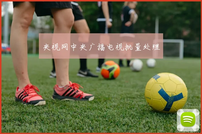 央视网中央广播电视批量处理