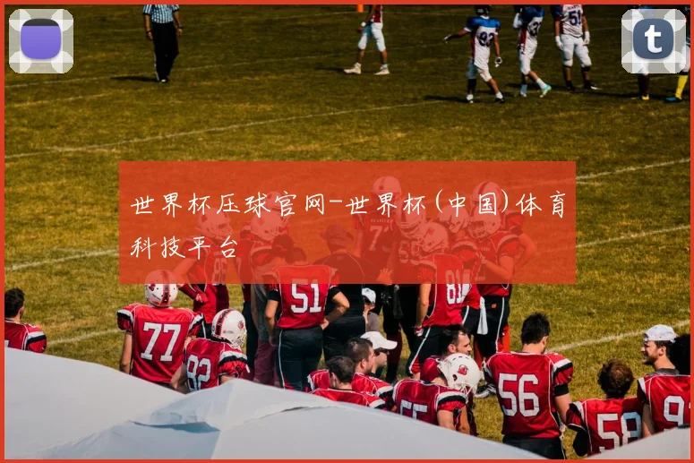 世界杯压球官网-世界杯(中国)体育科技平台