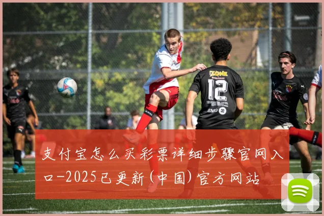 支付宝怎么买彩票详细步骤官网入口-2025已更新(中国)官方网站