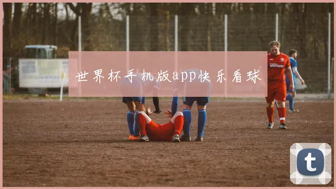 世界杯手机版app快乐看球