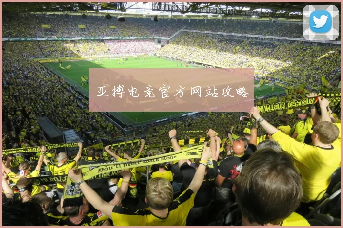 亚搏电竞官方网站攻略