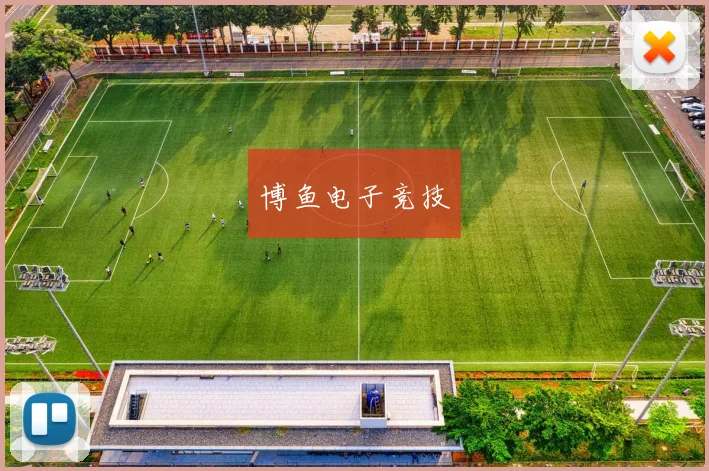 博鱼电子竞技
