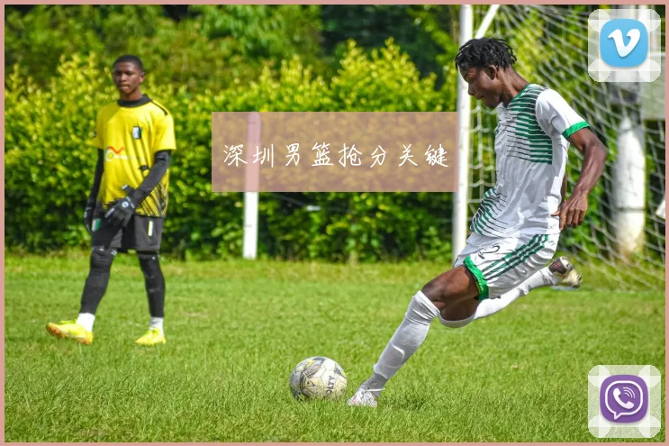 深圳男篮抢分关键