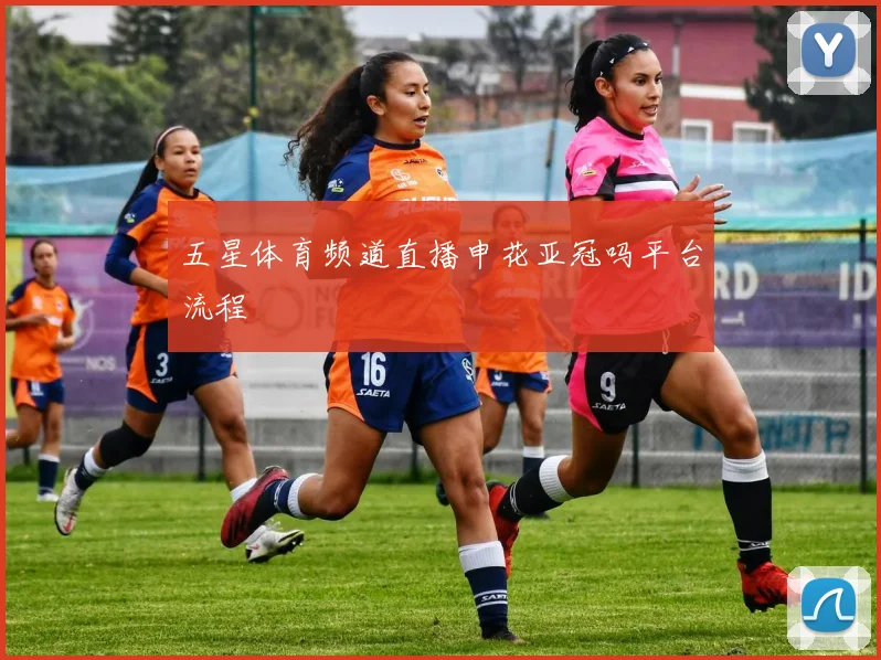 五星体育频道直播申花亚冠吗平台流程