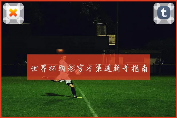 世界杯购彩官方渠道新手指南