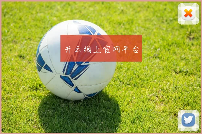开云线上官网平台