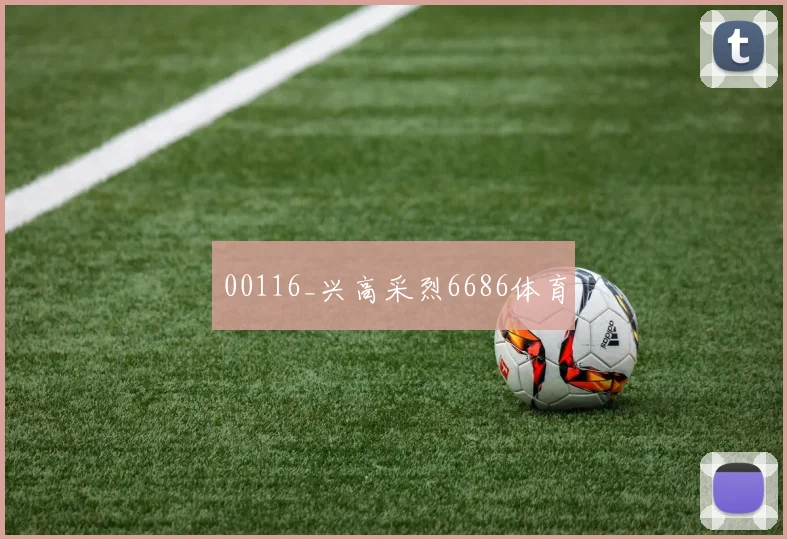 00116_兴高采烈6686体育