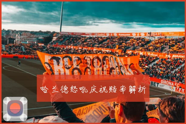 哈兰德怒吼庆祝赔率解析