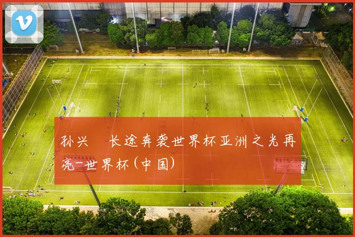孙兴慜长途奔袭世界杯亚洲之光再亮-世界杯(中国)