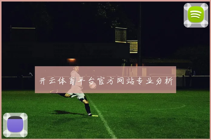 开云体育平台官方网站专业分析