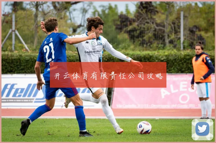 开云体育有限责任公司攻略