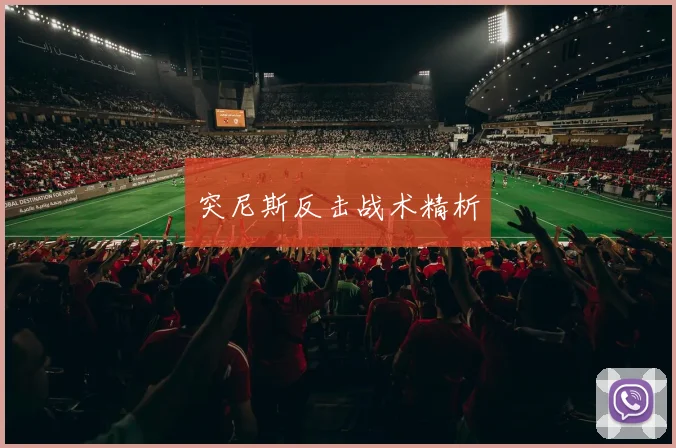 突尼斯反击战术精析