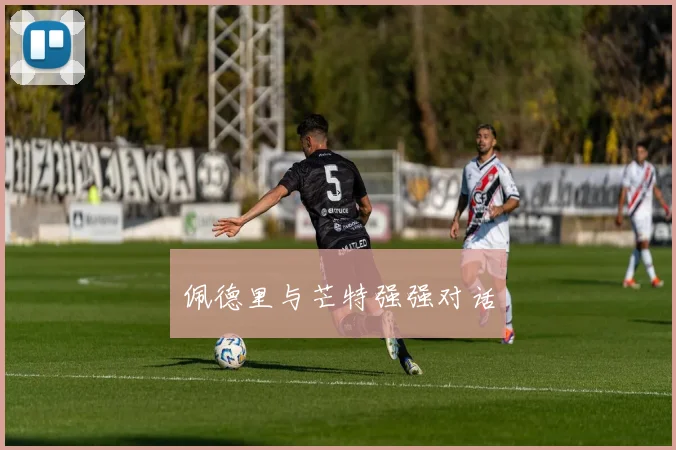 佩德里与芒特强强对话