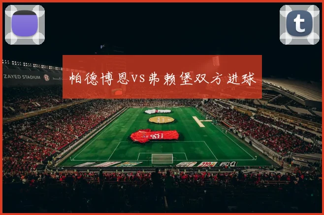 帕德博恩vs弗赖堡双方进球