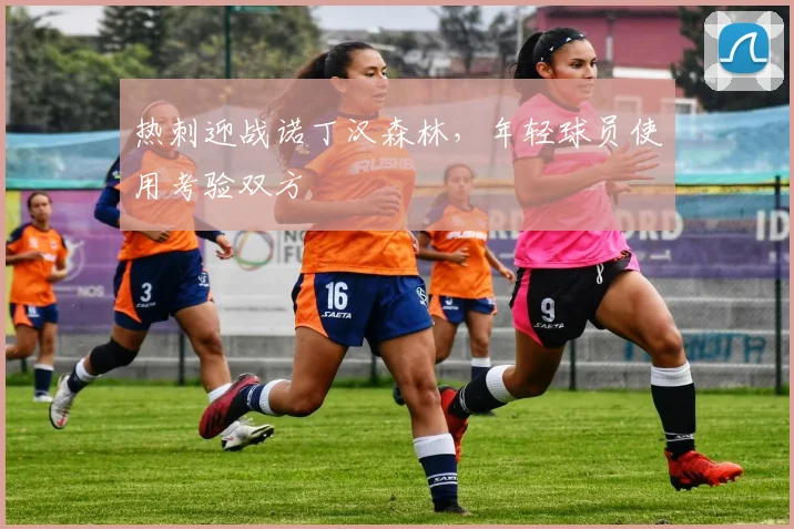 热刺迎战诺丁汉森林，年轻球员使用考验双方