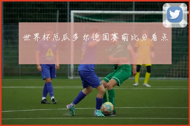 世界杯厄瓜多尔德国赛前比分看点